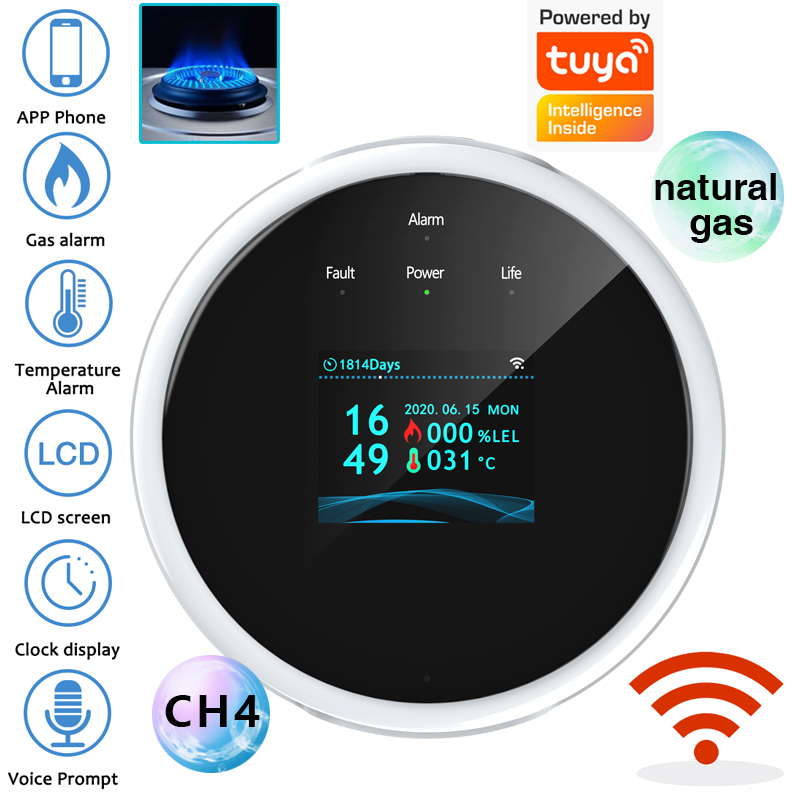 Home Security Monitor - Sensore di Allarme Gas WiFi 2.4G,