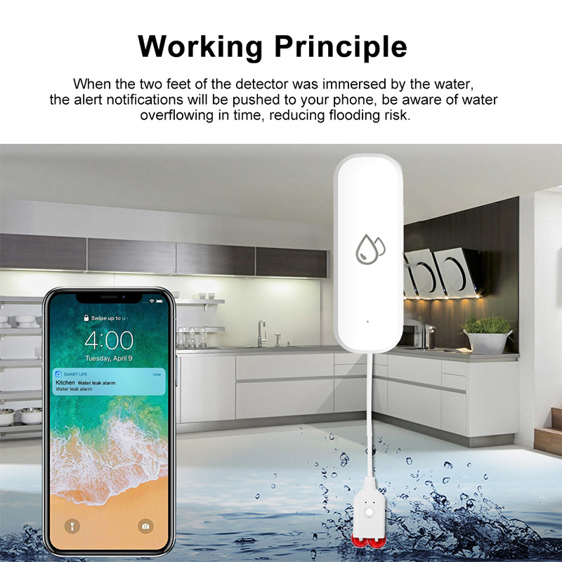 Sensore Allarme Perdite d'Acqu - Home Security Monitor recensione e prezzo