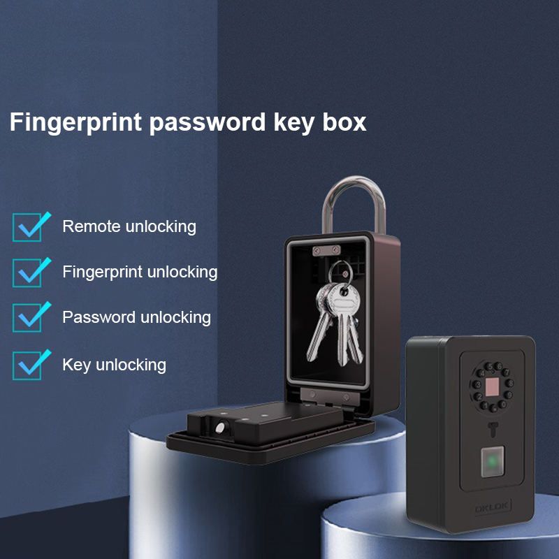 Cassetta di Sicurezza Intellig - Home Security Doors recensione e prezzo