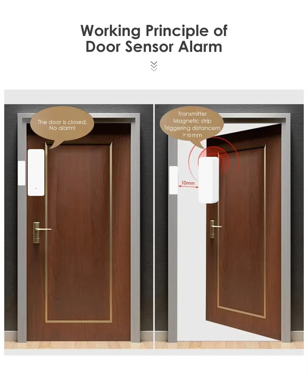 Tuya Zigbee/WiFi Sensore magne - Window Alarm Sensor recensione e prezzo