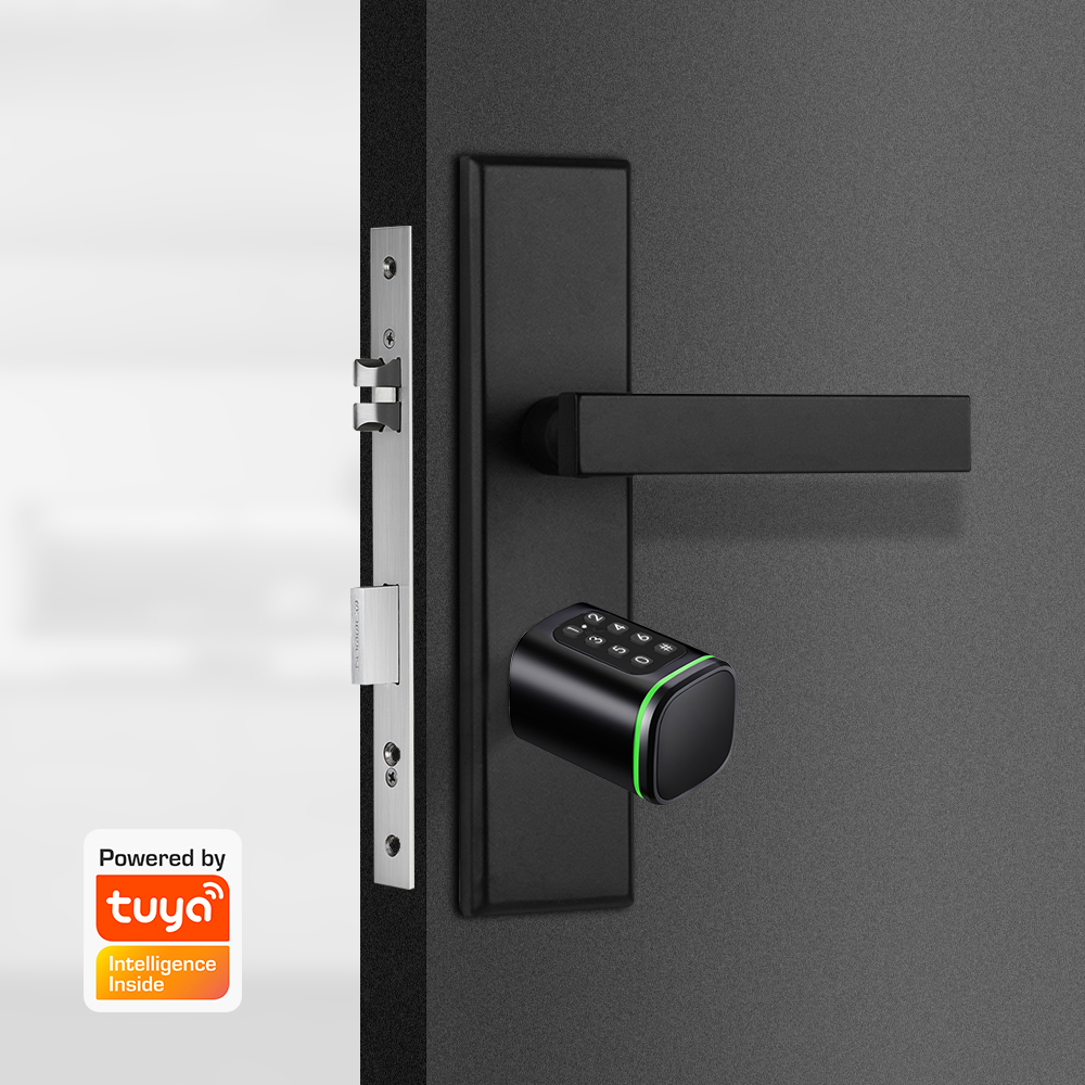 Serratura a cilindro intellige - Home Security Brand recensione e prezzo