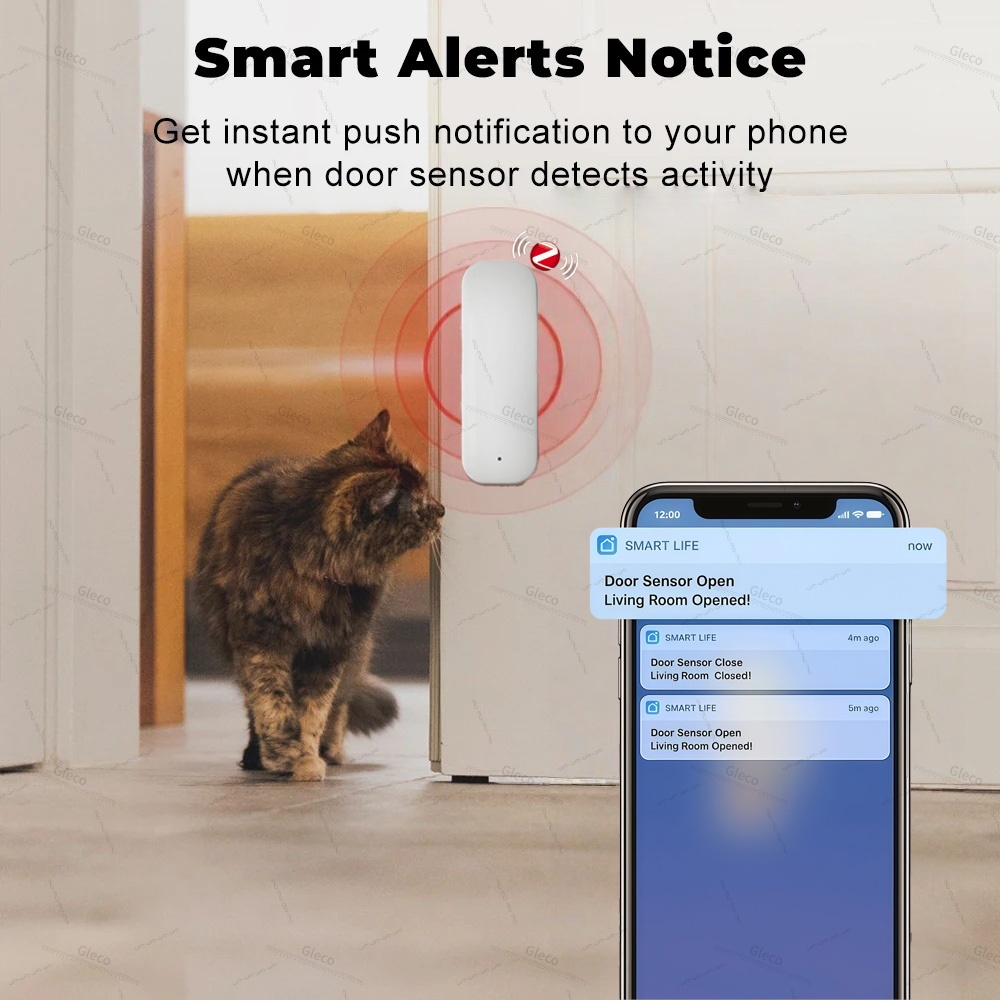 Tuya Zigbee Sensore per porte  - Window Alarm Sensor recensione e prezzo